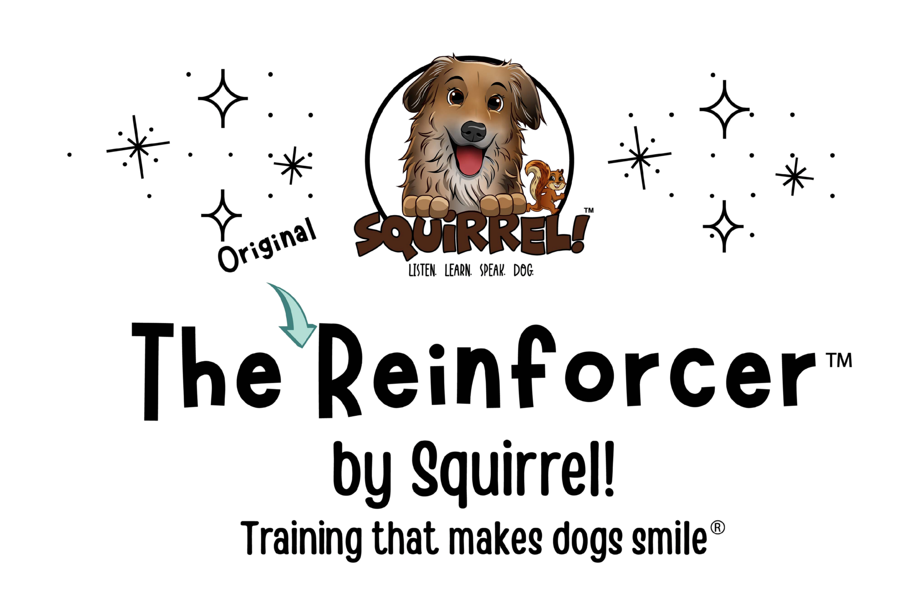 Squirrel! Dog Training